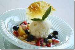 minestrone fruits sorbet pina 2