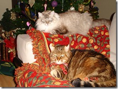 Noel 2006 039