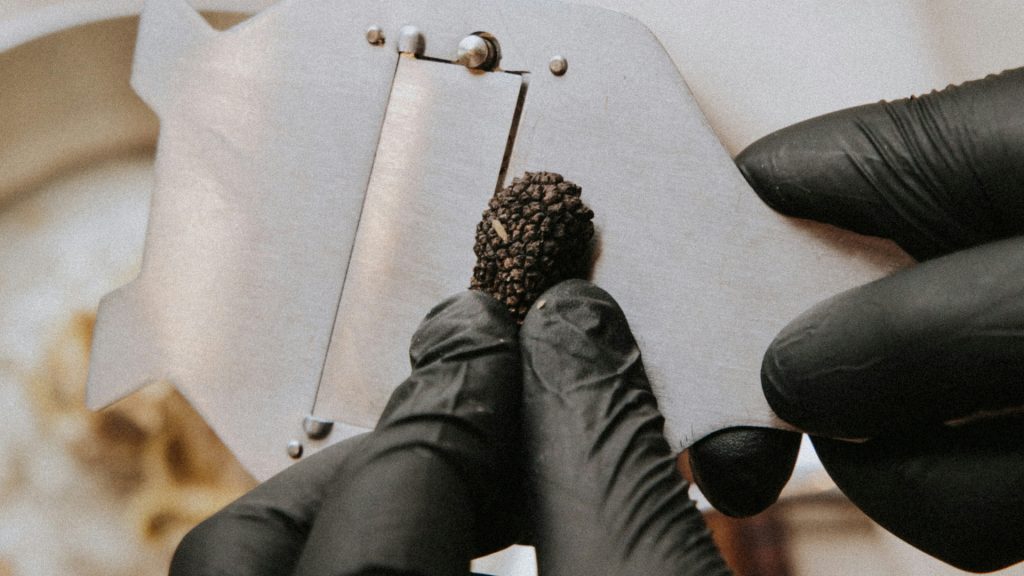 Découvrez la magie de la truffe noire et cuisinez-la comme un chef
