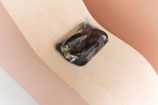 Aubergine